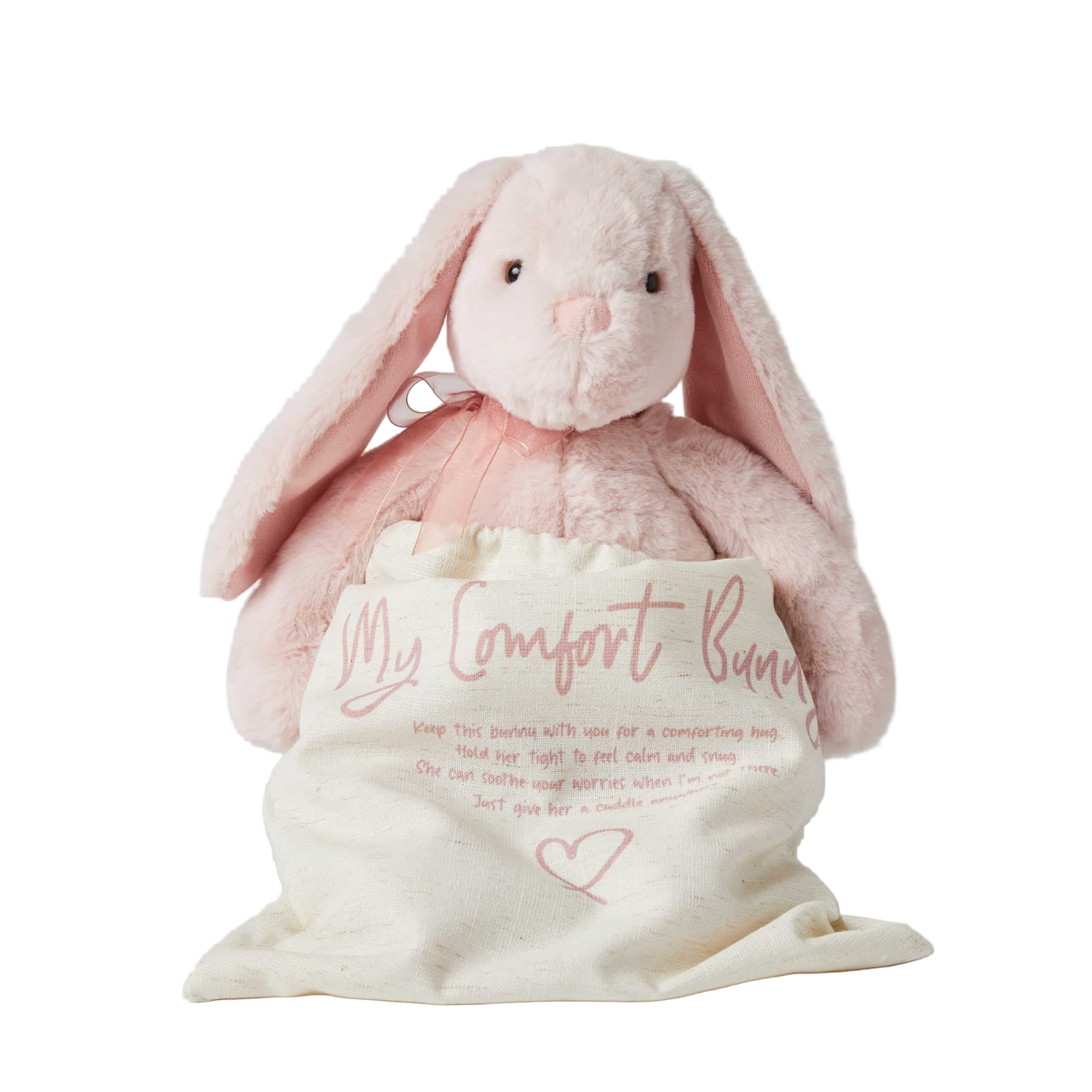 Pink plush bunny with a message storage bag on a white background