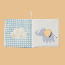 Soft Safari First Book
