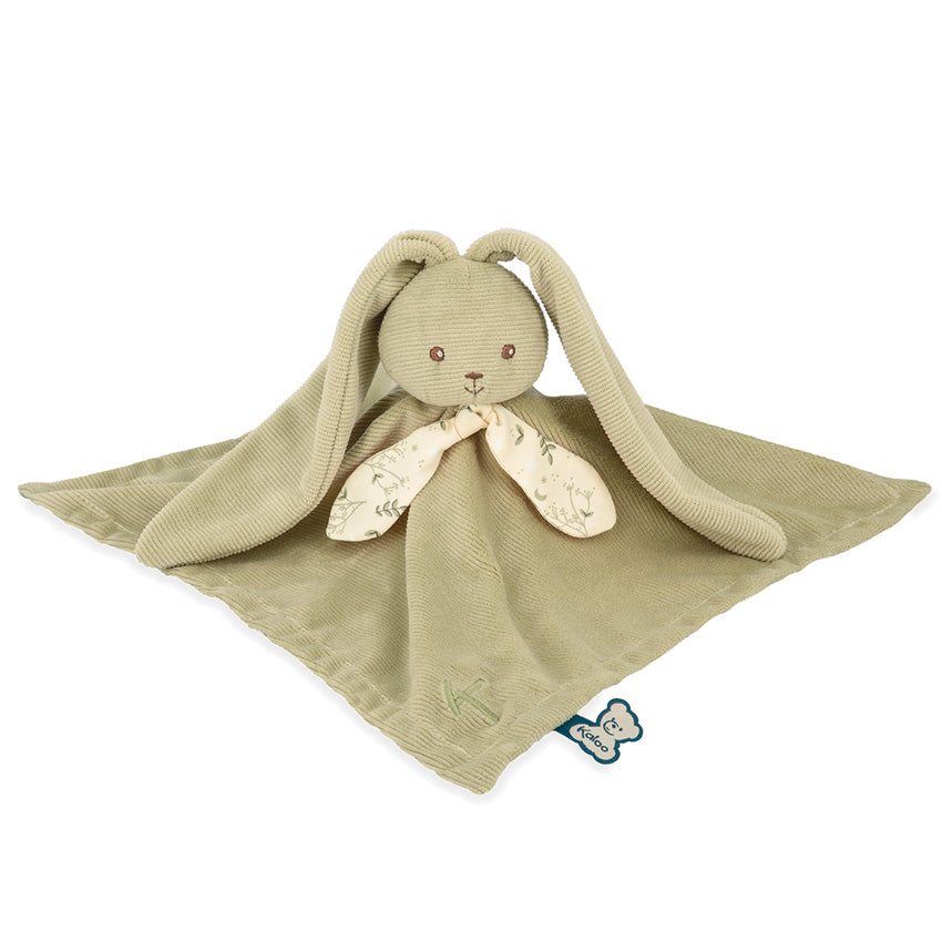 Lapinoo DouDou 兔鼠尾草