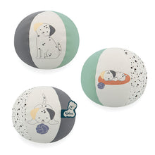 Stimuli Puppy Ball