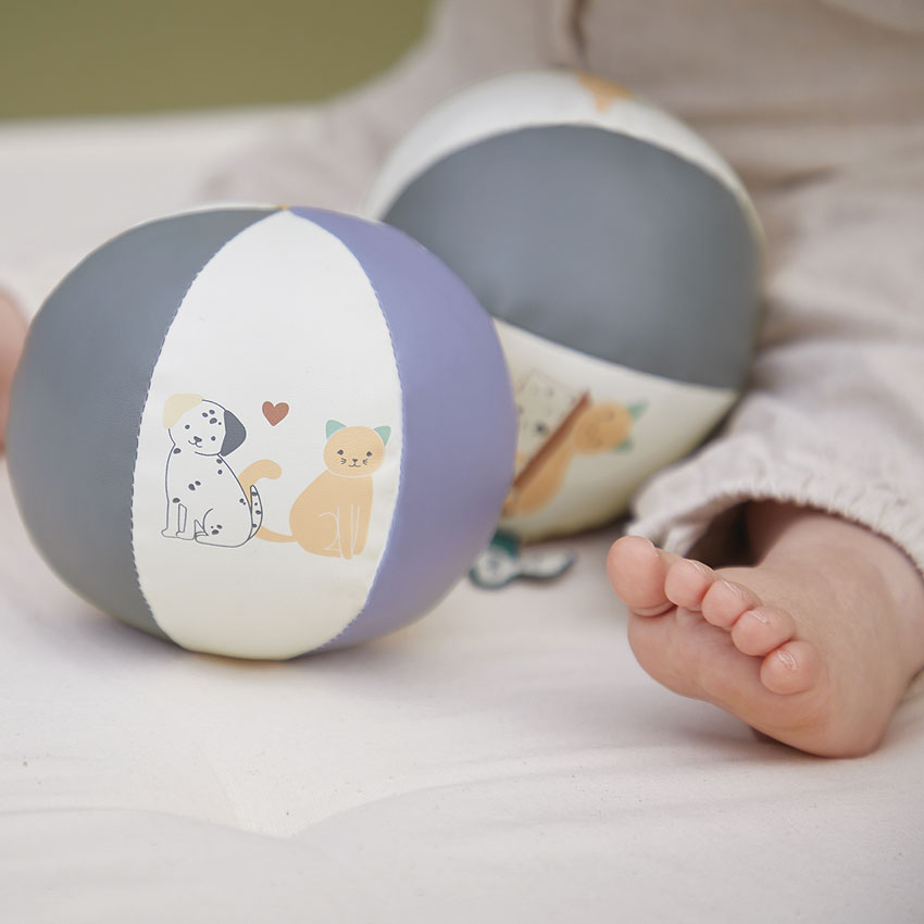 Stimuli Kitten and Puppy Ball