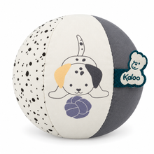Stimuli Puppy Ball