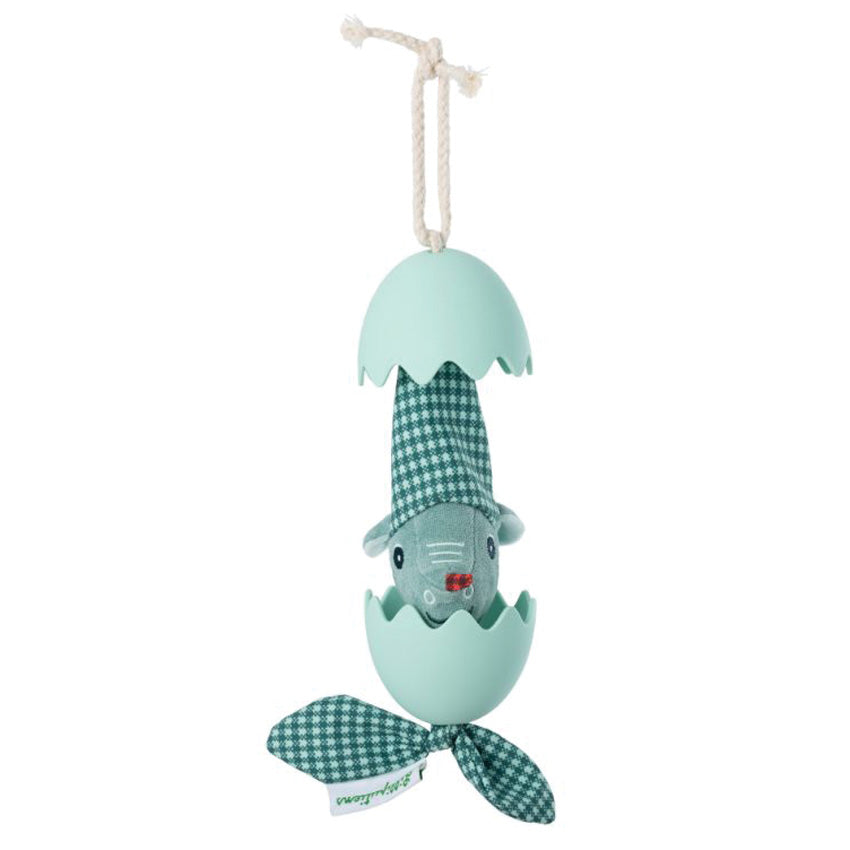 Oeuf dansant - Dino