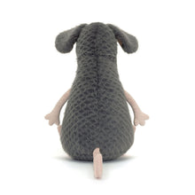 Lachlan Sad Rat