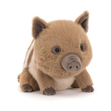 Jellycat Swinley Boar Plush toy  on a white background