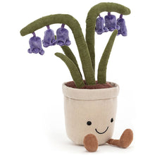 Jacinthe des bois amusante