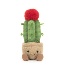 Cactus lunaire amusant