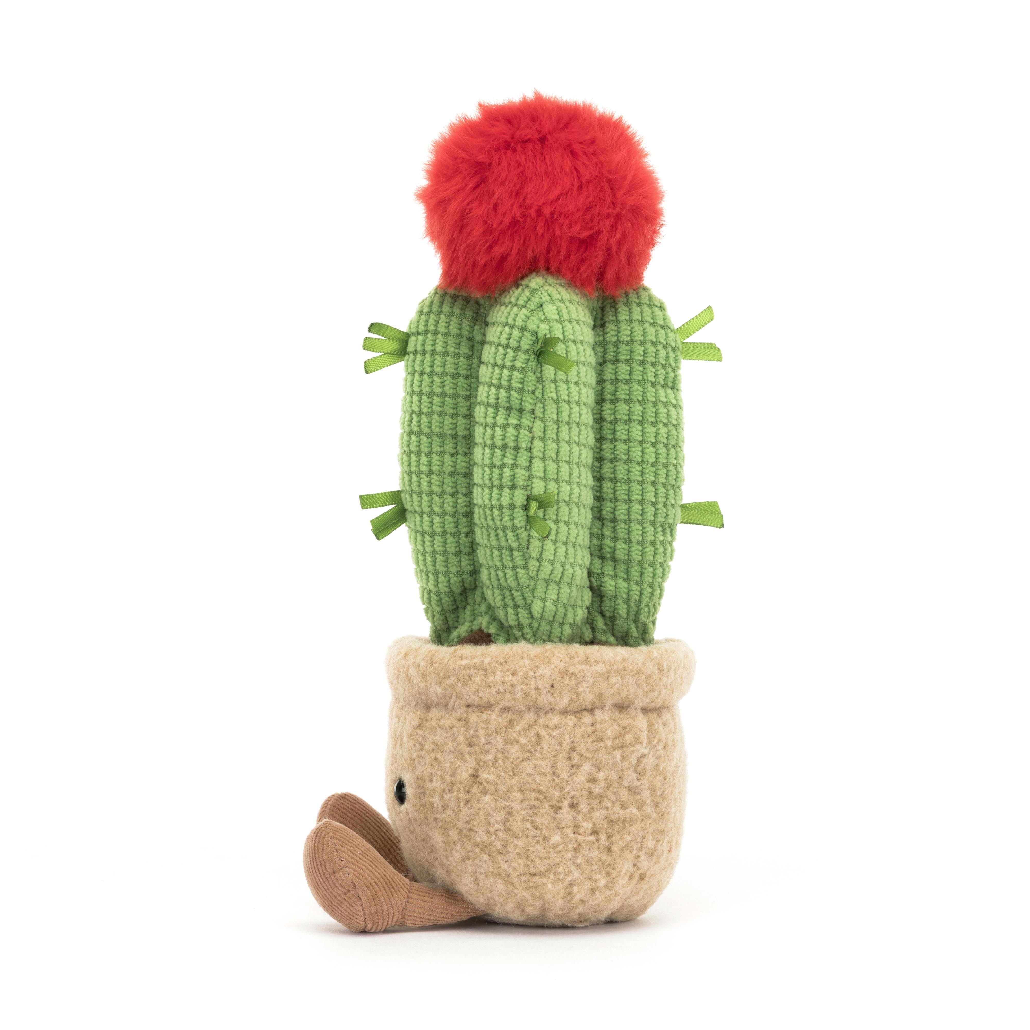 Cactus lunaire amusant