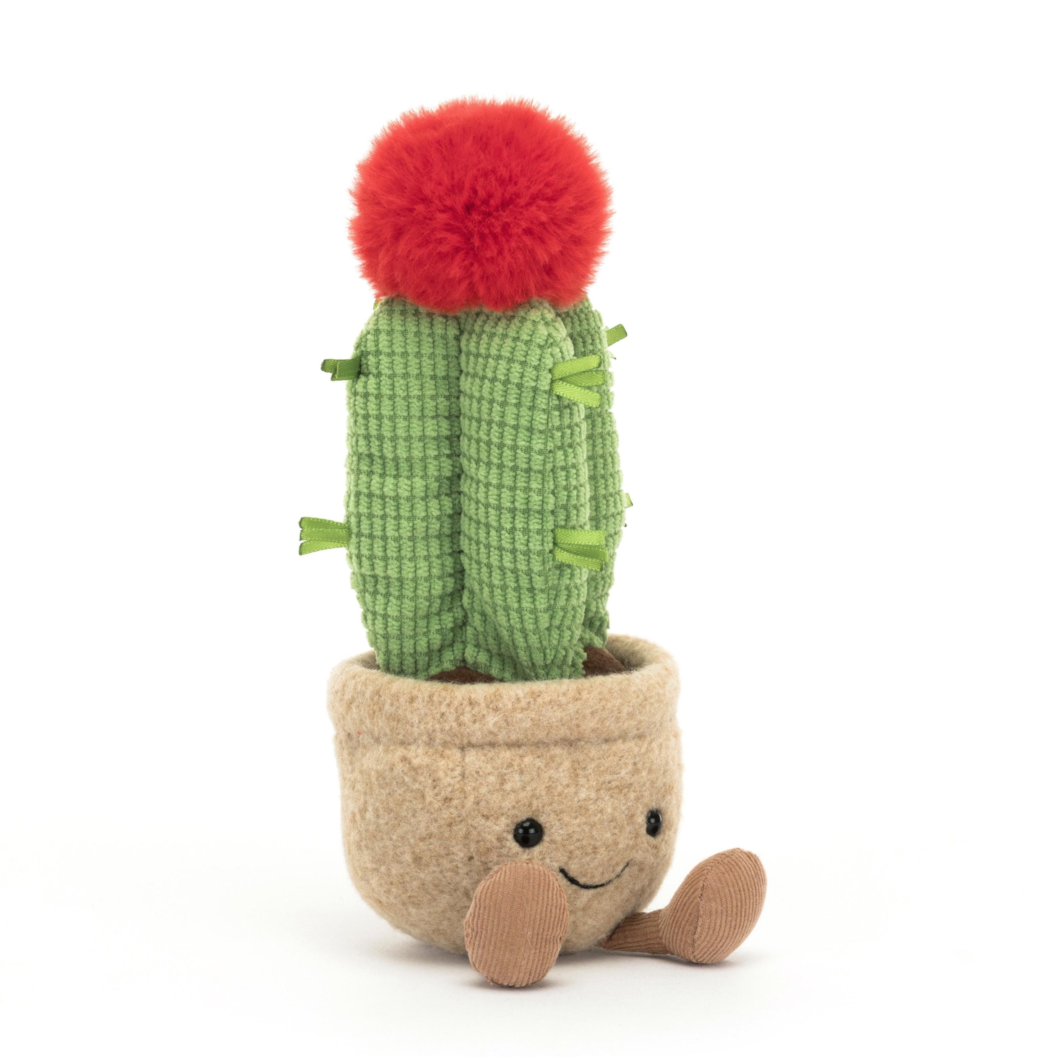 Cactus lunaire amusant