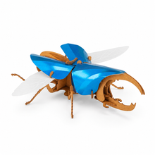 Moulin Roty Autour du Monde 3D Beetle puzzle