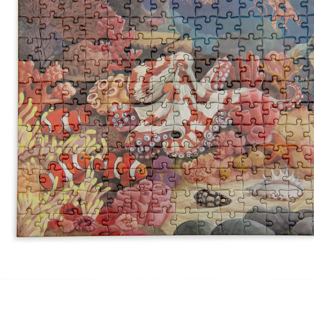 Detail of the colourful coral reef puzzle