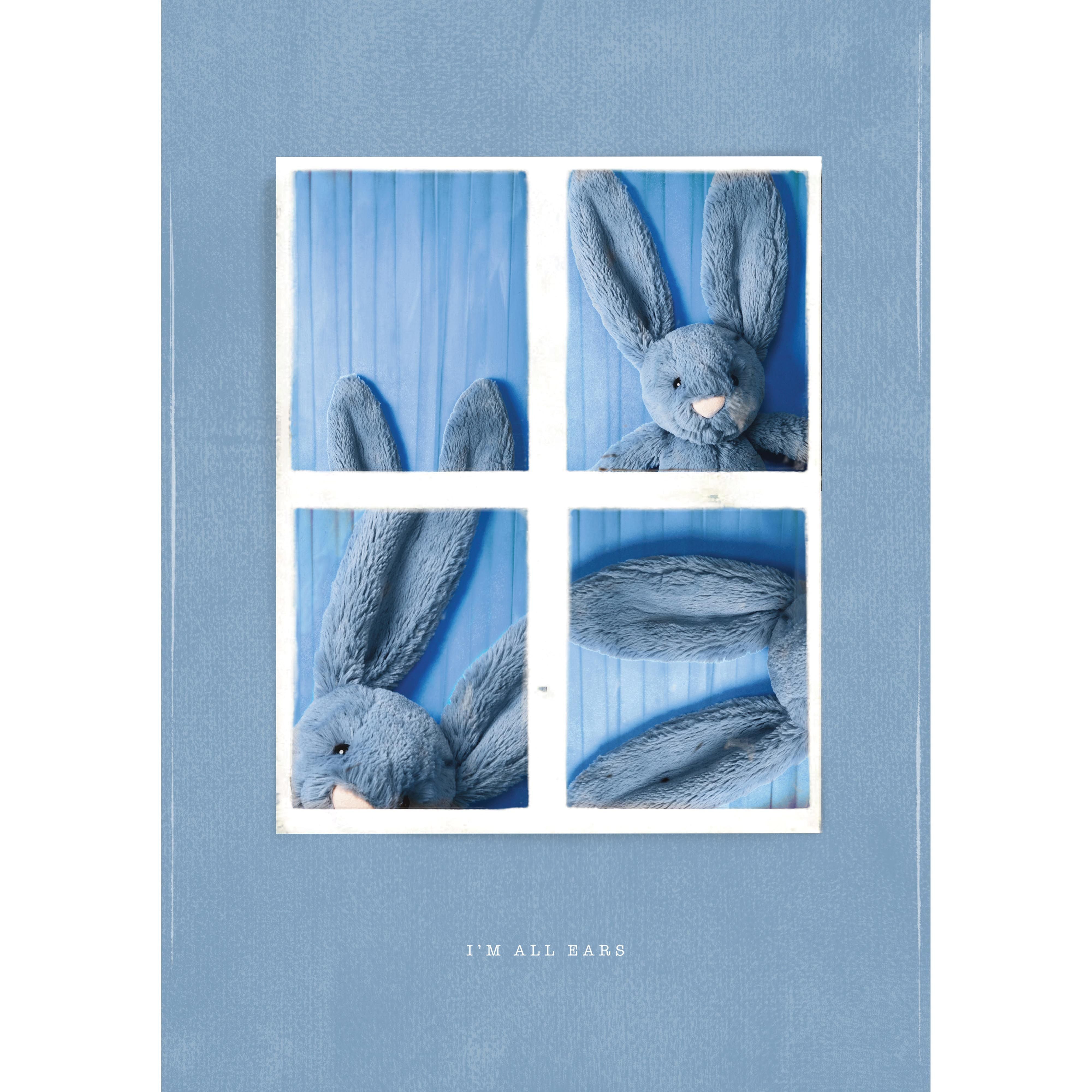 害羞的暗蓝色兔子 中号