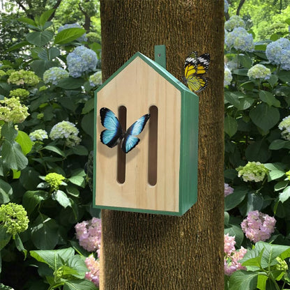 Little Butterfly House
