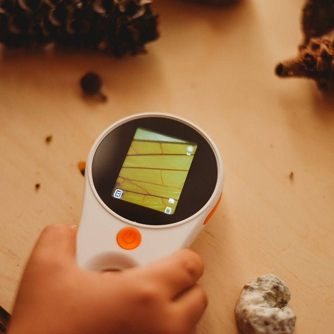 Hand holding a digital magnifying glass  on a wooden surface with pine cones and rocks.
