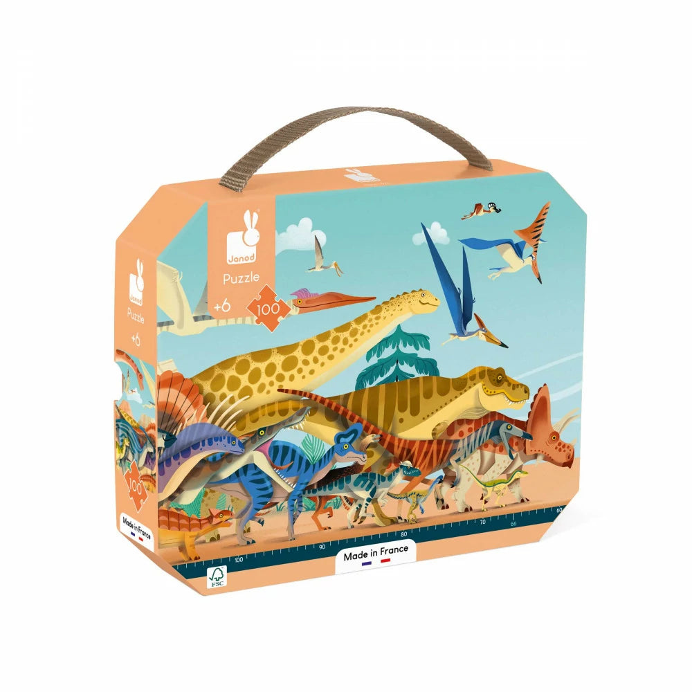 Dinosaur-themed puzzle packaging with colorful illustrations on a white background