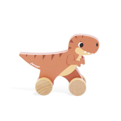 Dino Push-Along (Assorted)