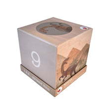 Box with a dinosaur illustration and number 9 on a white background