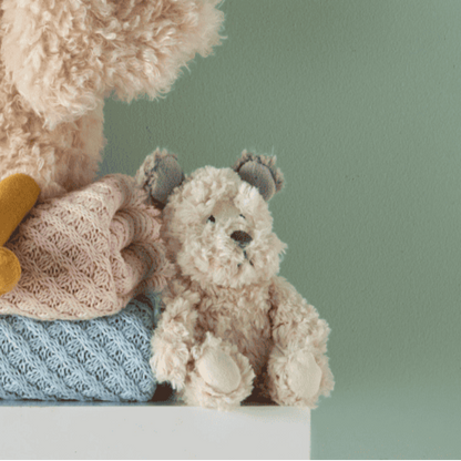 Fluffy teddy bear with a knitted blanket on a light green background