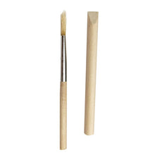 Planet Dig (Assorted)