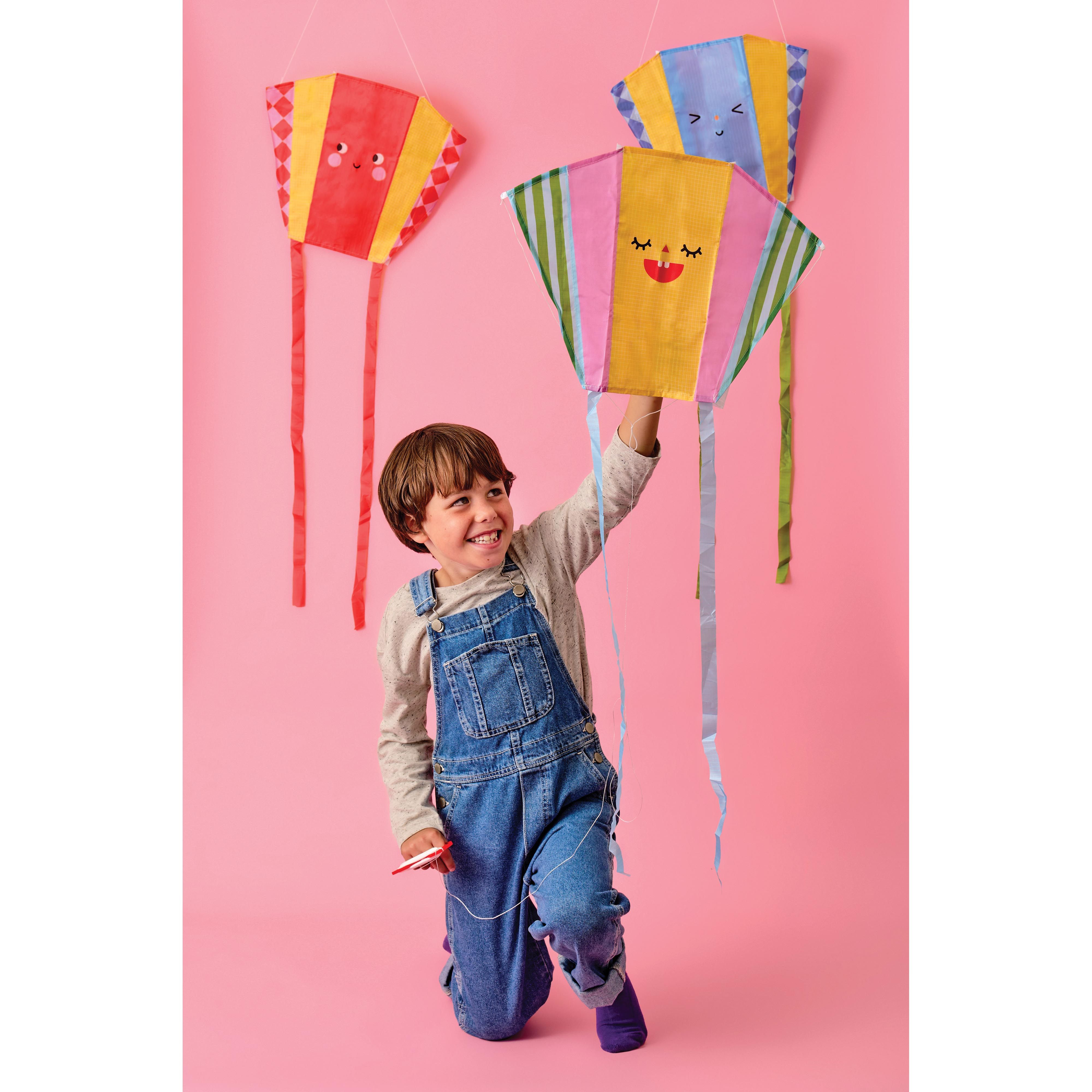 Funny Face Pocket Kite