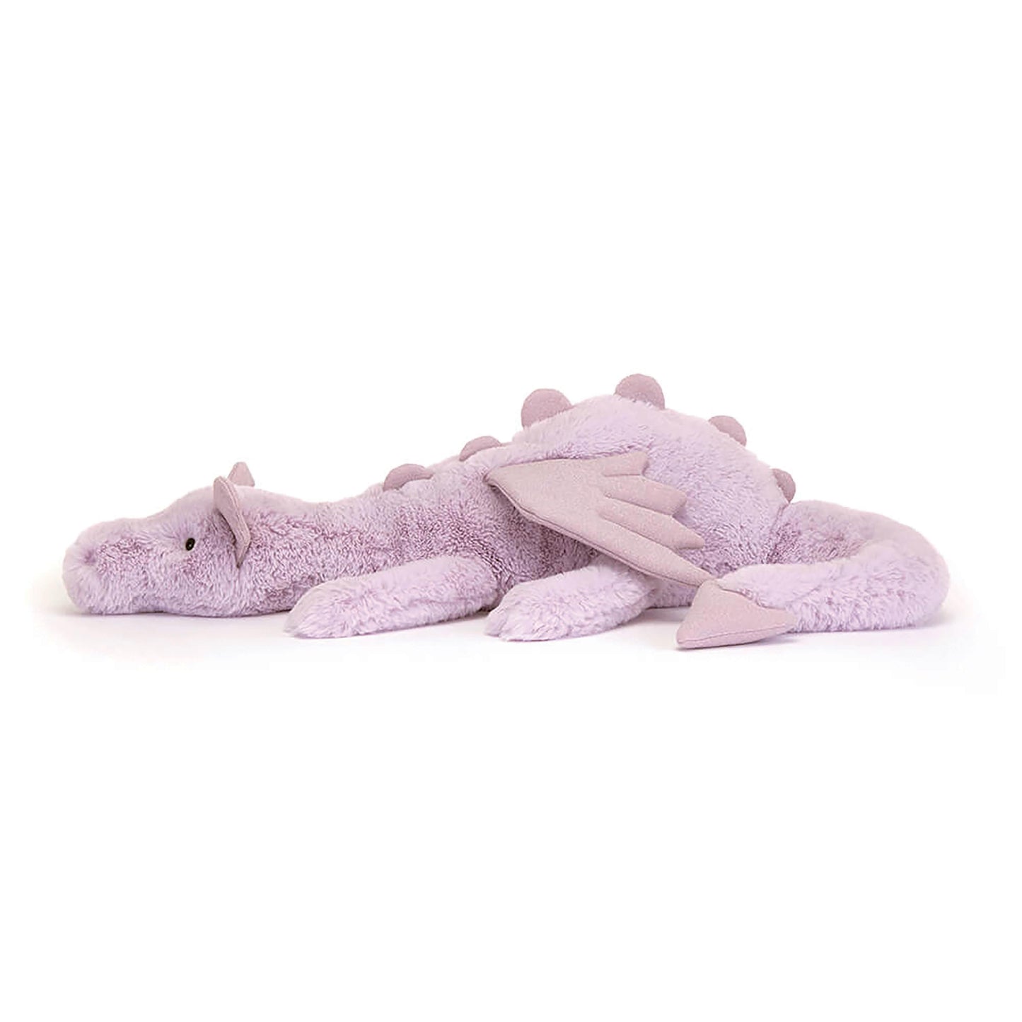 Dragon Lavande Énorme