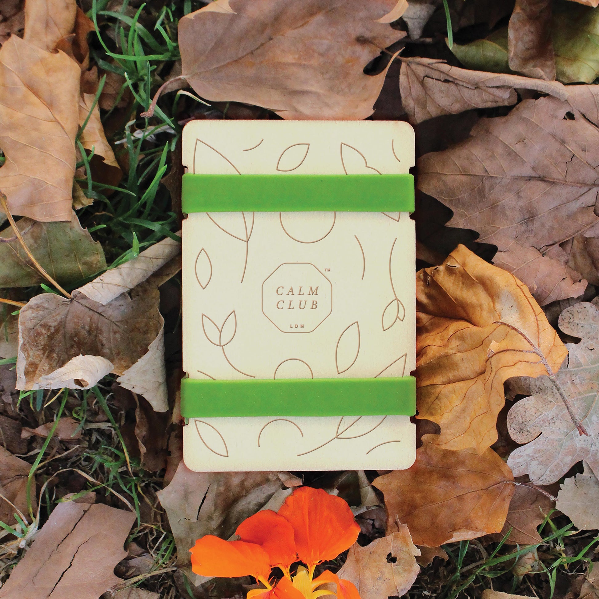 Small wooden flower press displayed on pile of autumn leaves