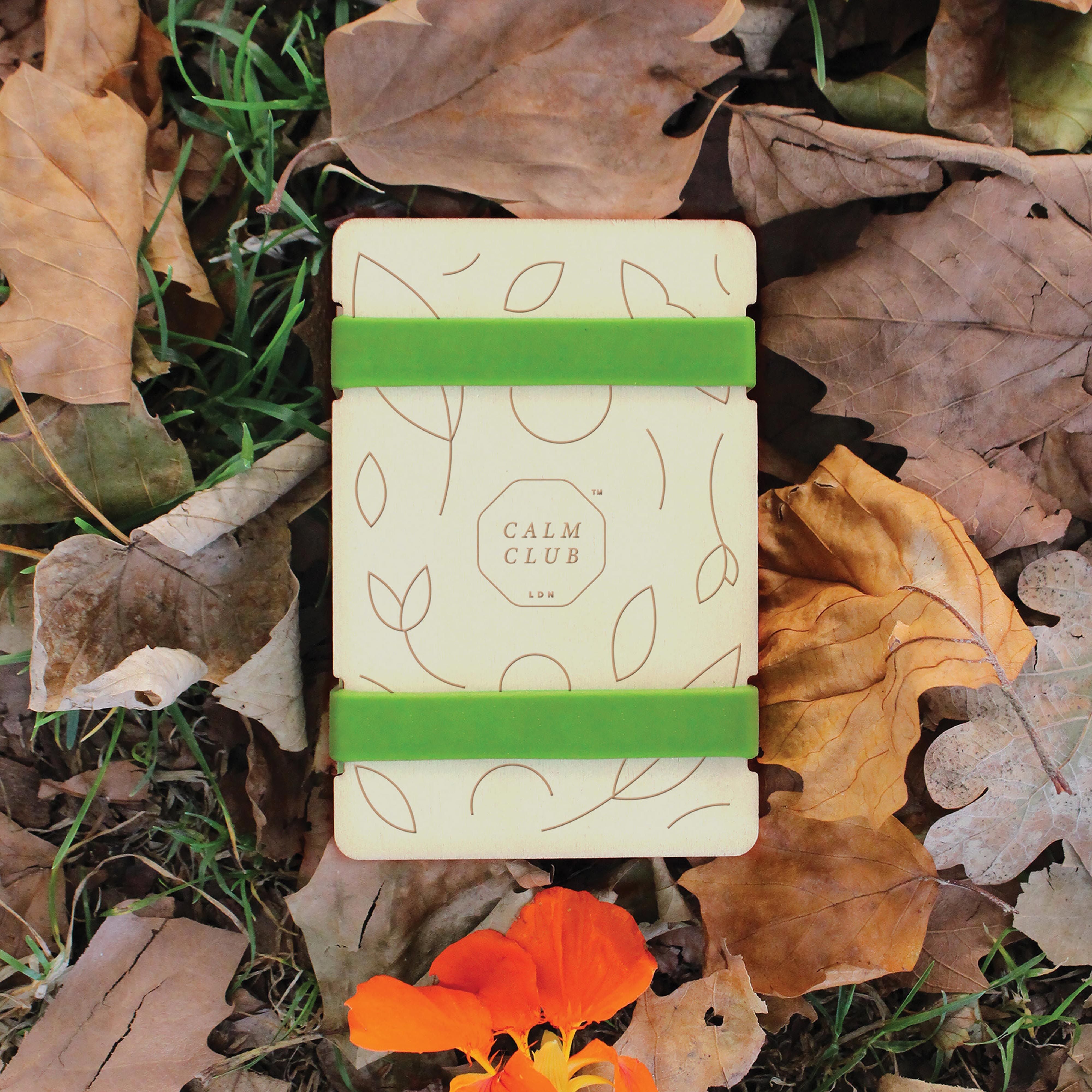 Pocket -Sized Flower Press