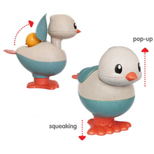 Bio Pop-Up Chicken