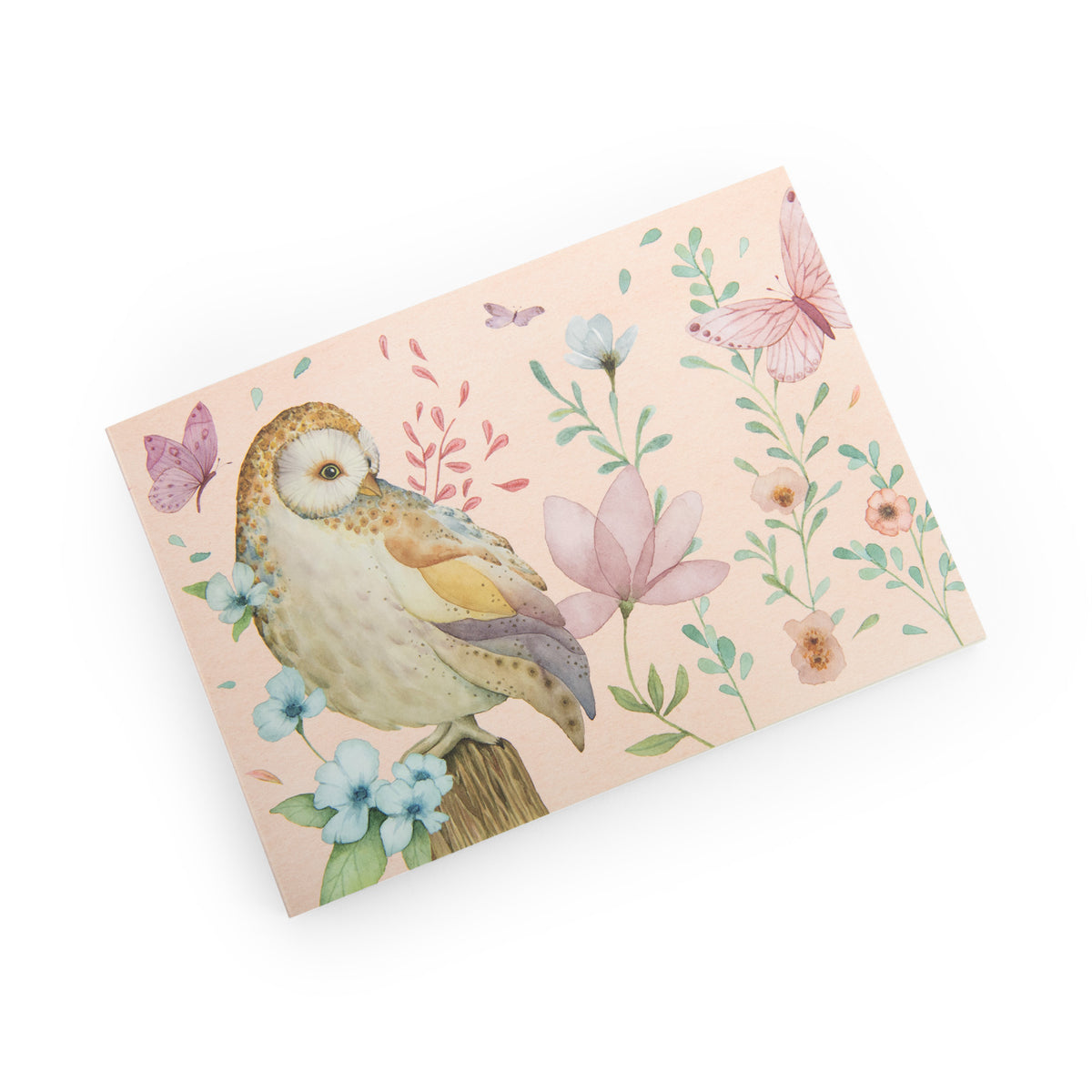 Les Rosalies drawing book – inside pages