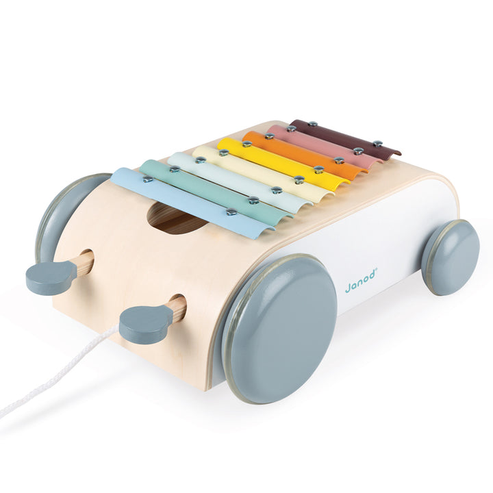 Cocoon Xylo Roller Janod Musical Toys