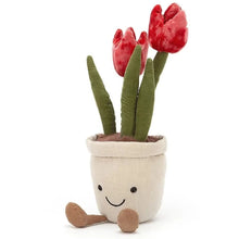 Amuseable Tulip