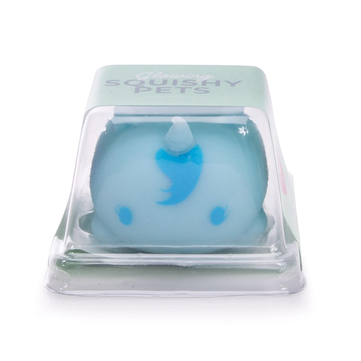 Glow-In-Dark Squishy Pet pocket money toy