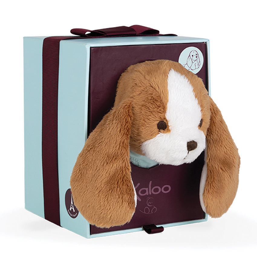 Tiramisu Puppy 19cm (Gift Boxed) Kaloo 