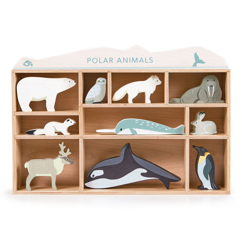 Ensemble d'étagères de présentation d'animaux polaires