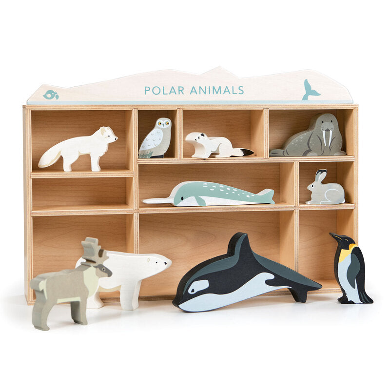 Ensemble d'étagères de présentation d'animaux polaires