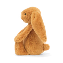 Lapin doré timide - Petit
