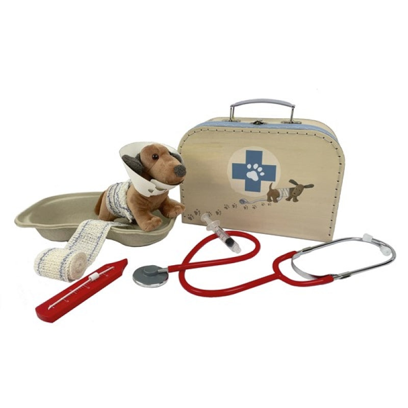 Veterinary Case (with real stethoscope)